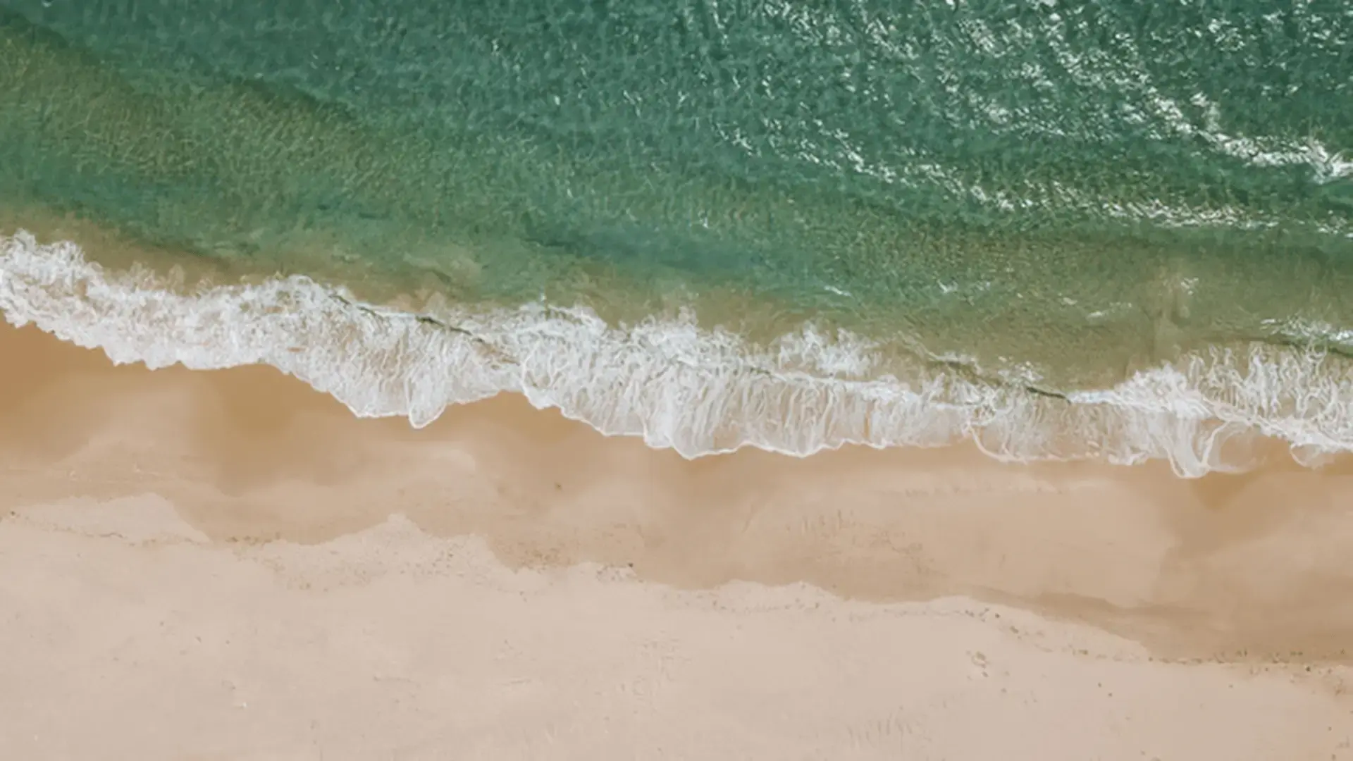 Aerial view of a turquoise ocean wave gently meeting a sandy shoreline Trauma Therapist Institute